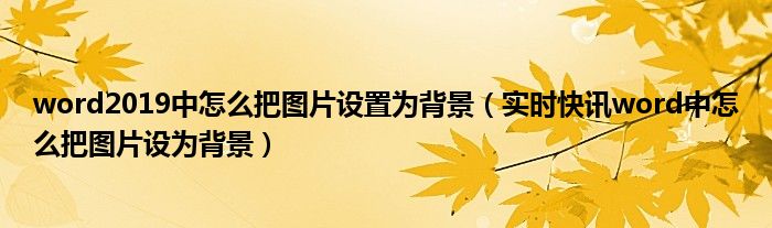word2019怎样把图片放大看 word2019怎么把图片调正