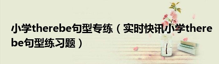 小学therebe句型一般疑问句结构 小学therebe句型视频讲解