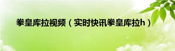 拳皇库拉动画 拳皇库拉q版