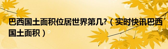 巴西国土面积在世界排名第几 巴西国土和中国国土面积对比