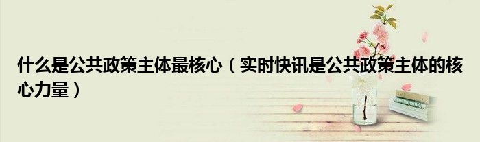 什么是公共场合 什么是公共政策主体的核心力量