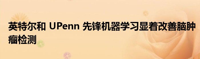 英特尔和 UPenn 先锋机器学习显着改善脑肿瘤检测