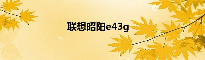 联想昭阳e43l 联想昭阳e43g主板