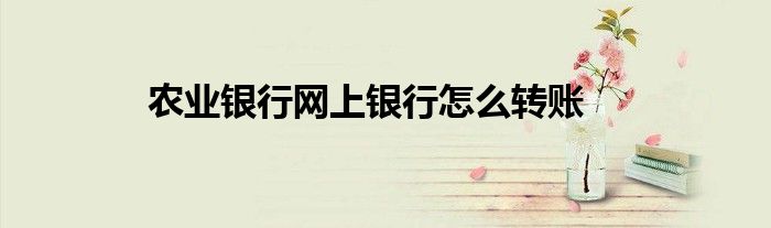 农业银行网上银行怎么转账到银行卡 农业银行网上银行怎么转账不了