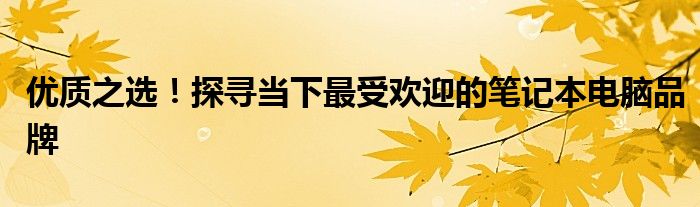 优秀的笔记本电脑品牌 出名的笔记本电脑