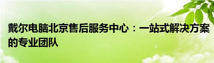 北京戴尔官方指定售后 戴尔售后 北京